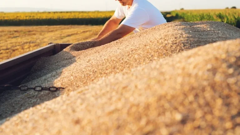 5 dicas fundamentais para melhorar a gestão do seu Agronegócio