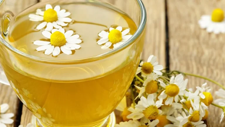 5 melhores chás com efeito calmante