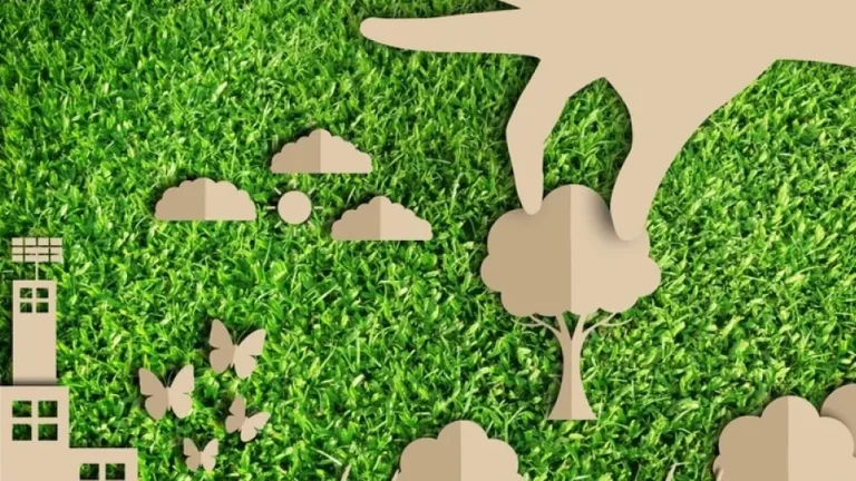 6 dicas de consumo consciente para ajudar a organizar as finanças