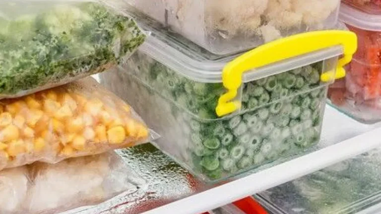 6 Técnicas essenciais para congelar alimentos corretamente