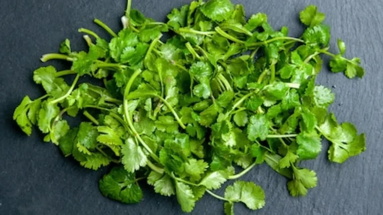 Agrião: Superalimento com propriedades antidiabéticas