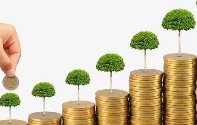 Aprenda a realizar investimentos com seu dinheiro e ter retorno com isto