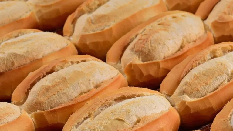 Cacetinho, Pão Francês ou Pão de Sal? Descubra como o pãozinho é chamado em cada região do Brasil