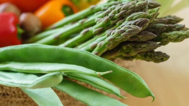 Como ter uma dieta rica em fibras? Saiba como incluir estes alimentos.