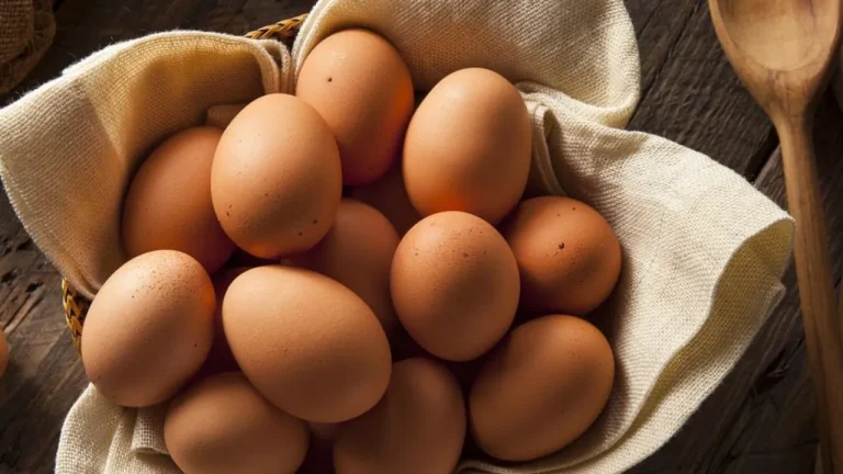 Dieta do ovo: saiba mais sobre a dieta do momento entre as famosas