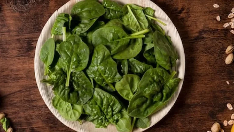 Espinafre: benefícios, nutrientes e como incluir na dieta para uma vida mais saudável