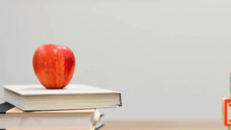 Franquias de educação: Confira algumas opções para quem quer investir