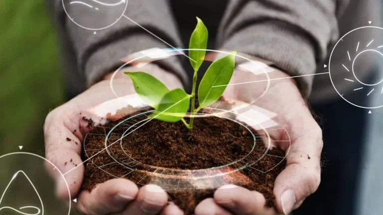 Investimentos no agronegócio: saiba como ganhar dinheiro sem precisar trabalhar na área
