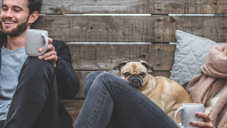 Jovens adultos: 7 dicas para começar bem a vida financeira
