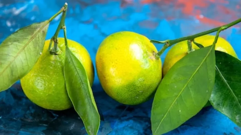 Limão Taiti vs Limão Cravo: Descubra a verdade surpreendente sobre estas frutas cítricas