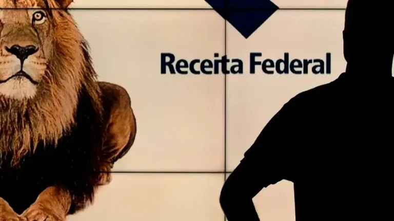 O que acontece quando a declaração do IR cai na malha fina?