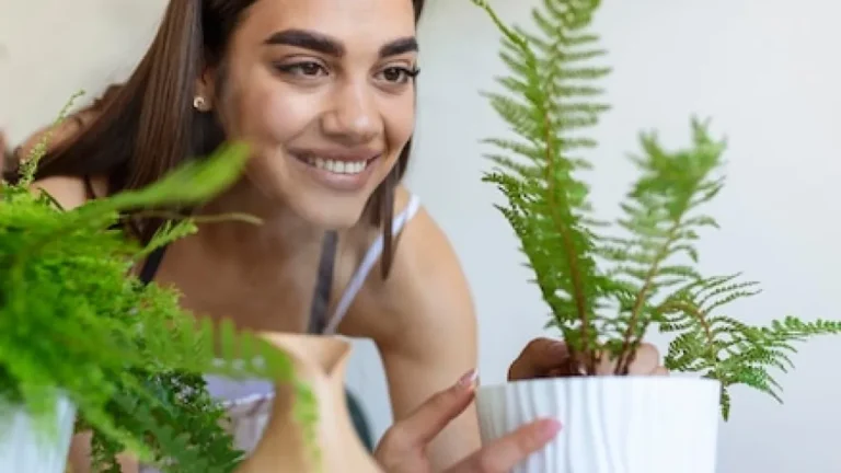 Plantas para ambientes internos: Veja como transformar sua casa em um refúgio verde e saudável