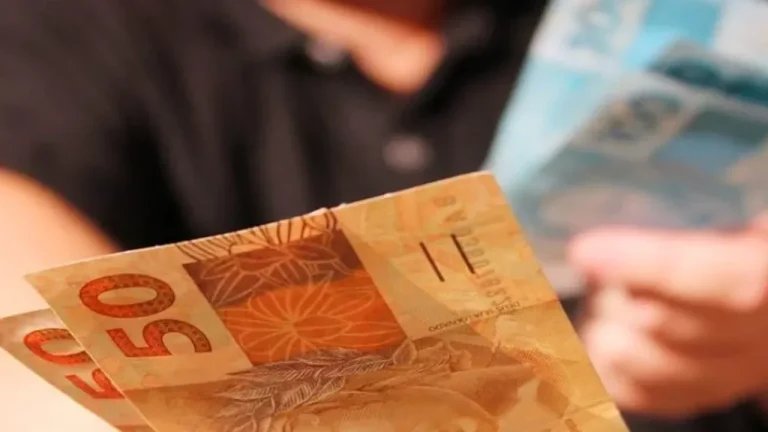 Renda média do brasileiro sobre 6,9% em 2022