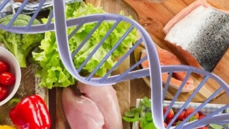 Dieta do DNA: Saiba como montar sua rotina alimentar a partir dos seus dados genéticos