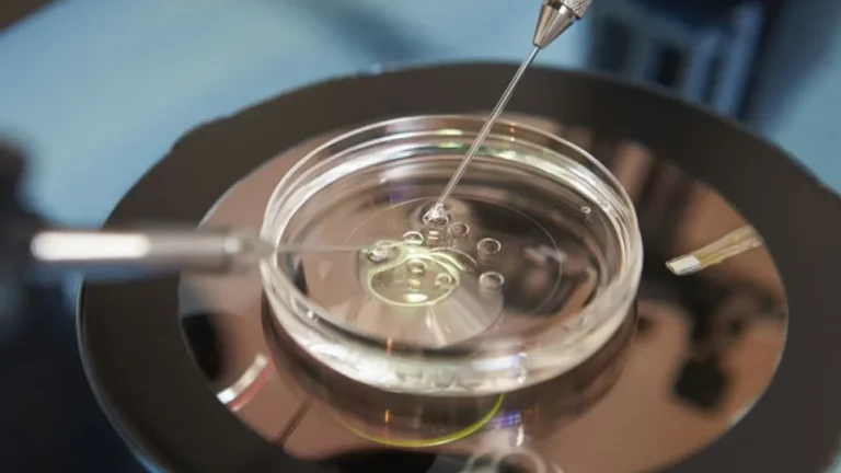 Inseminação artificial: entenda o que é e os procedimentos necessários