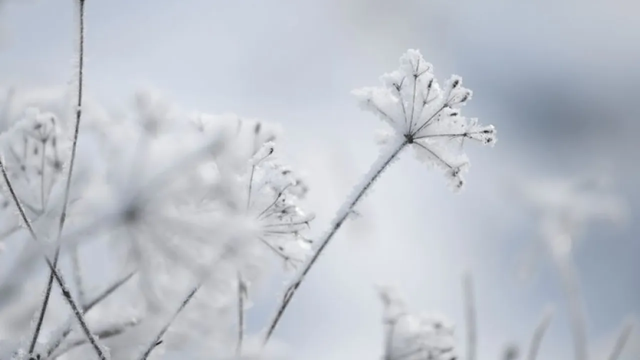 n o gosta de frio confira algumas dicas para melhorar de humor no inverno d8bddccd