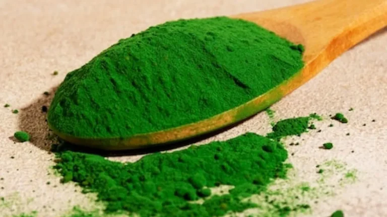 Spirulina: O Superalimento os astronautas agora disponível nos supermercados – Benefícios e usos